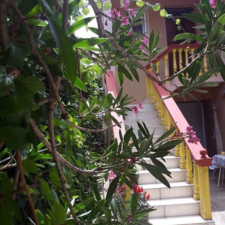 Apartman Tatjana Сутоморе Екстериор снимка